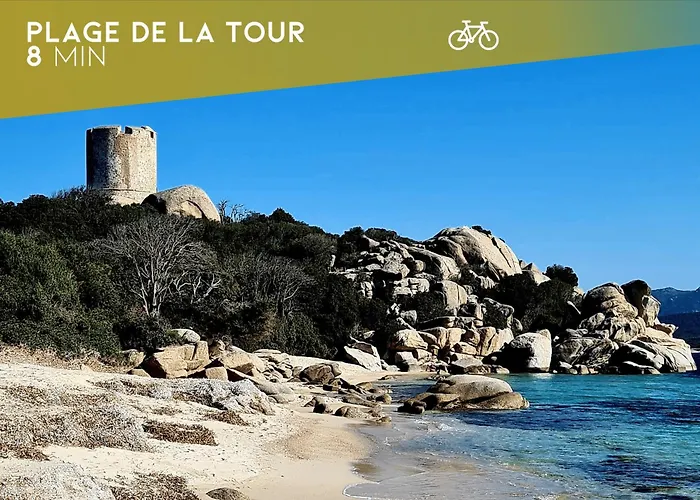 Le Shetland - T4 Spacieux Bord De Et Piscine * Pianottoli-Caldarello (Corsica)